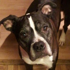 Meet your Posher, Jill